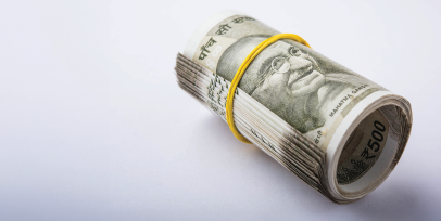 Domestic Investments